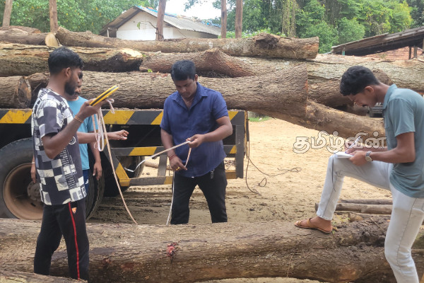 கடத்தப்பட்ட 30 இலட்சம் பெறுமதியான மரக்குற்றிகள் மீட்பு | 3 Million Worth Of Smuggled Timber Recovered