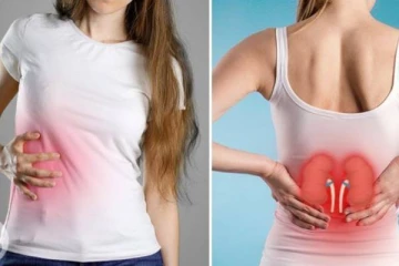 உங்கள் சிறுநீரகத்தில் பாதிப்பு இருக்கு! எளிதாக காட்டும் அறிகுறிகள் இவைதான்... தொடக்கத்திலேயே கண்டறிந்தால் தப்பலாம்