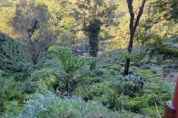 சாரதியின் துணிச்சலான முடிவால் காப்பற்றப்பட்ட 80 பயணிகளின் உயிர்! | Driver Bravely Saves The Lives Of 80 Passengers