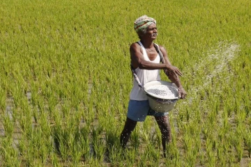 விவசாயிகளுக்கு மற்றுமொரு மகிழ்ச்சித் தகவல்!
