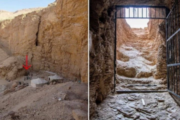 எகிப்தில் 100 ஆண்டுகளுக்குப் பிறகு கண்டுபிடிக்கப்பட்ட கல்லறை