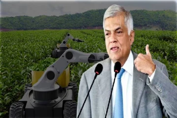 செயற்கை நுண்ணறிவைப் பயன்படுத்தி விவசாயத்தில் புதிய மாற்றம்: அதிபர் ரணில் சுட்டிக்காட்டு