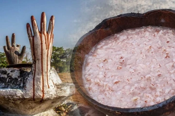 முள்ளிவாய்க்கால் நினைவேந்தலுக்கு யாரும் தடை விதிக்க இயலாது! பாதிக்கப்பட்ட தாயொருவரின் கருத்து