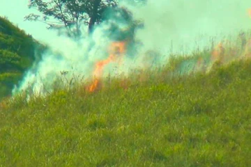 கொட்டகலையில் வனப்பிரதேசத்திற்கு அடையாளம் தெரியாதவர்களால் தீவைப்பு(Video)