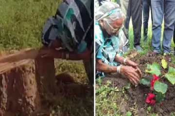 20 ஆண்டுகளாக இருந்த அரச மரத்தை வெட்டியதால் கதறி அழுத மூதாட்டி.., அடுத்து நடந்த இன்ப அதிர்ச்சி