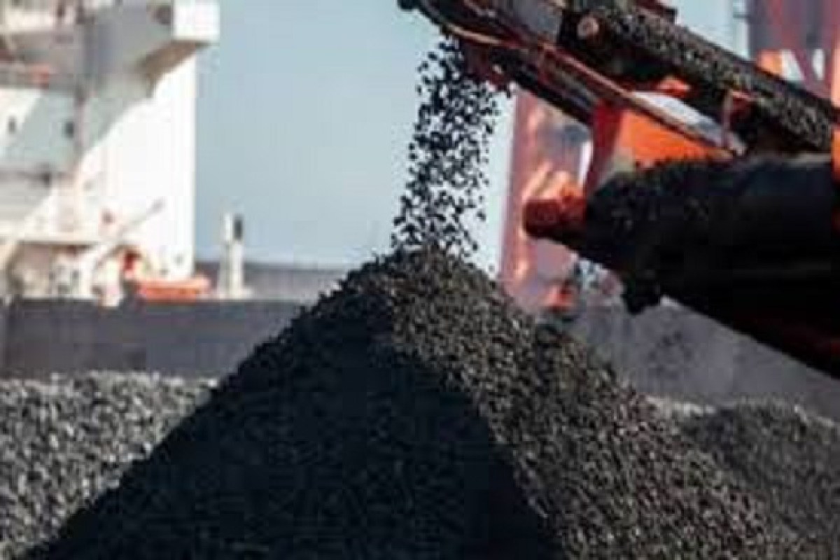 நிலக்கரி மோசடியை மக்கள் மீது சுமத்த எரிபொருள் விலை அதிகரிப்பு : நாமல் குற்றச்சாட்டு | Loss Coal Inflicted People Increasing Oil Prices