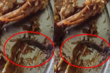 தனியார் உணவகம் ஒன்றில் பிரியாணியில் கிடந்த பூரான்! அதிர்ச்சியடைந்த குடும்பத்தினர்