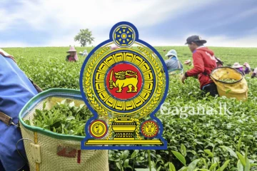 රුපියල් 4,000 ක් වැනි අඩුම ගාණකට ලැබෙන තවත් සහනයකට කැබිනට් අනුමැතිය.