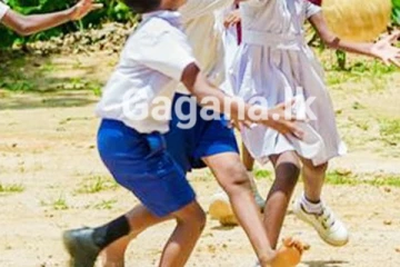 ලොව පුරා පාසල් නොයන දරුවන් පිළිබද හෙළිදරව්වක්