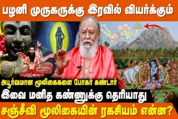 இரவில் வியர்க்கும் பழனி மலை முருகனின் சிலை