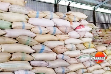 කන්න තිබ්බ හාල් ටිකට වැඩේ දීලා - මිලියන ගණනක සහල් වංචාවක්