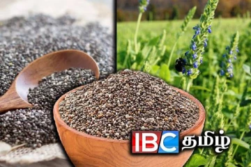 சியா விதைகளை இப்படி சாப்பிடுவது ஆபத்து : எச்சரிக்கும் அமெரிக்க மருத்துவர்