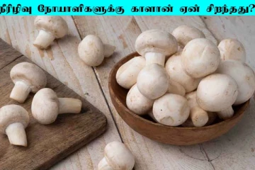 நீரிழிவு நோயாளிகளுக்கு காளான் ஏன் சிறந்த உணவு? கட்டாயம் தெரிந்து கொள்ள வேண்டிய விடயம்