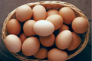 இறக்குமதி செய்யப்படும் முட்டைகளினால் ஏற்படக்கூடிய ஆபத்து