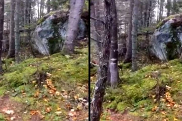 பெருமூச்சு விடும் பூமிமாதா.. கொந்தளிக்கும் இயற்கை! ஒரு நிமிடம் நடுங்க நடுங்க வைக்கும் காட்சி