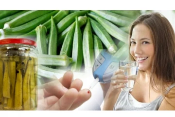 இரவில் ஊற வைத்த வெண்டைக்காய் நீரை தினமும் குடித்து வந்தால் எவ்வளவு நன்மைகள் கிடைக்கும்ன்னு தெரியுமா!