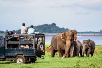 ஆப்பிரிக்காவை அடுத்து இலங்கைதான் சிறந்த இடம்!
