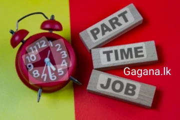 රට පුරා තෝරාගත් පිරිසකට රජයෙන් අමතර රැකියාවක්..මුලින්ම ලැබෙන පිරිස මෙන්න..