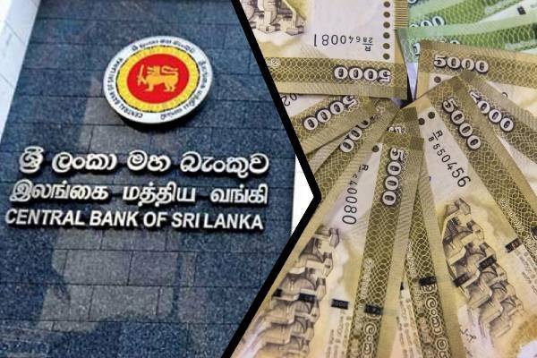 இலங்கை மத்திய வங்கி தொடர்பில் வெளியான முக்கிய அறிவிப்பு | Srilanka Central Bank Loan Statement