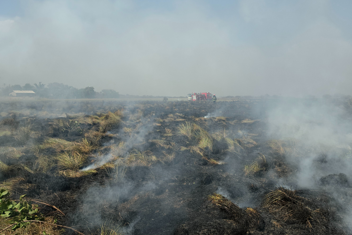 யாழ்.கதிரிப்பாய் பகுதியில் திடீர் தீ பரவல் | Fire Broke Kathirippai Area Of Achchuveli யாழ்.கதிரிப்பாய் பகுதியில் திடீர் தீ பரவல் | Fire Broke Kathirippai Area Of Achchuveli