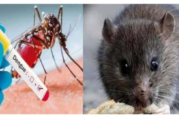 கேரளாவில் பரவி வரும் டெங்கு, எலி காய்ச்சல் - ஒரே நாளில் 8 பேர் பலி!