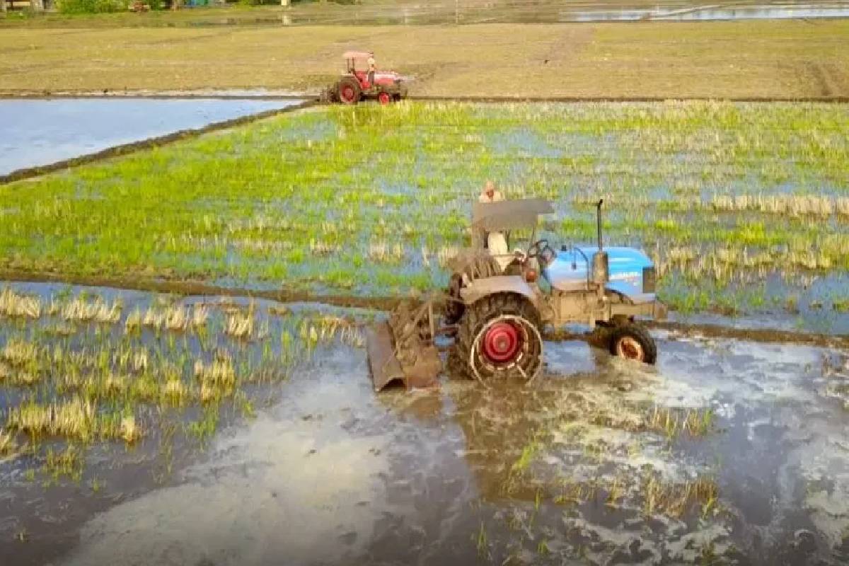 கந்தளாய் பள்ளிவாசல் வயல் காணி செய்கை இடைநிறுத்தம்: தனிநபர்களின் தலையீட்டால் நஷ்டம் ஏற்படும் அபாயம் | Kanthalai Mosque Field Farming Suspended கந்தளாய் பள்ளிவாசல் வயல் காணி செய்கை இடைநிறுத்தம்: தனிநபர்களின் தலையீட்டால் நஷ்டம் ஏற்படும் அபாயம் | Kanthalai Mosque Field Farming Suspended