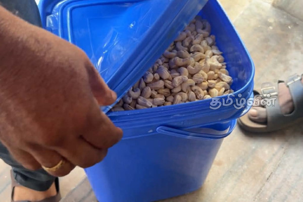 சட்டவிரோதமாக இலங்கைக்குள் கொண்டு வரவிருந்த 620 கிலோ கிராம் முந்திரி பருப்பு மீட்பு: ஒருவர் கைது! | Smuggled Into Sri Lanka Recovered சட்டவிரோதமாக இலங்கைக்குள் கொண்டு வரவிருந்த 620 கிலோ கிராம் முந்திரி பருப்பு மீட்பு: ஒருவர் கைது! | Smuggled Into Sri Lanka Recovered