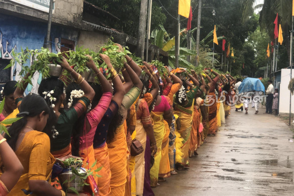 ஏறாவூர் காட்டு மாஞ்சோலை ஸ்ரீ பத்திரகாளி அம்பாள் ஆலய பால்குட பவனி | Eravur Sripathrakali Ambal Temple Palkuda Bhavani