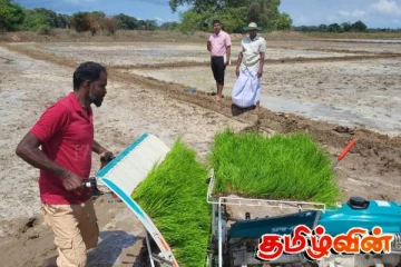 கிளிநொச்சி-யூனியன் குளம் பகுதியில் இயந்திர நாற்று நடுகை