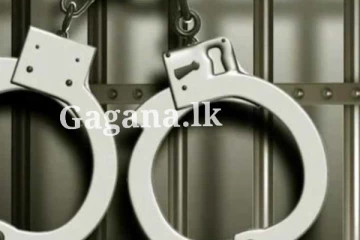 පතරොම් සන්තයේ තිබී සිසුවෙක් අත්අඩංගුවට.