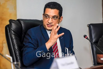 අලි සබ්රිට තවත් ඇමති ලොකු පුටුවක්.