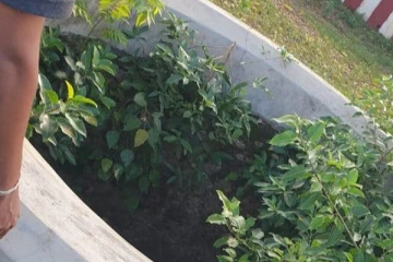 உனக்காகத் துடிப்பவள் அம்மா..... யாழில் உயிரிழந்த  தந்தையின்  உருகவைக்கும் கடிதம்!