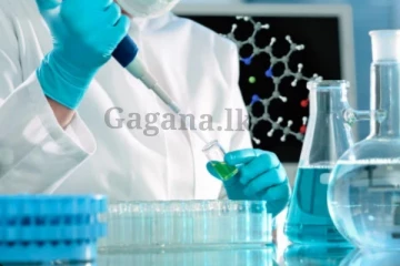 කොවිඩ් වලට වඩා 20 ගුණයක් මාරාන්තික‍යි - ඇහෙද්දිත් ඇඟ හිරි වැටෙන මාරාන්තික වෛරසයක්..