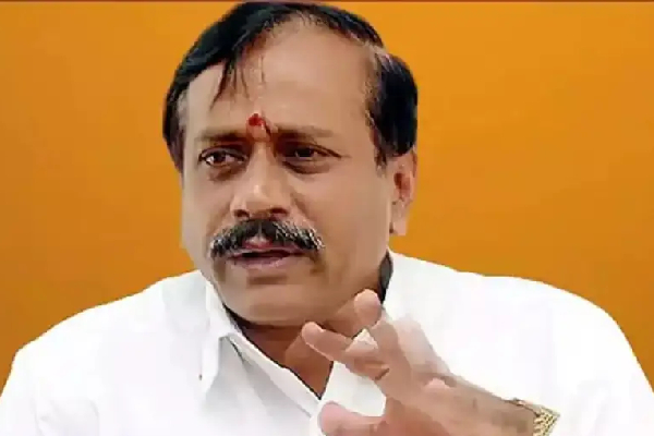 என்னதான் கருத்துவேறுபாடெல்லாம் இருந்தாலும்.. நான் விஜய்க்குதான் சப்போர்ட் - எச். ராஜா | I Support Vijay Karur Issue Says H Raja
