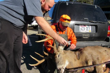 அமெரிக்கா - கனடாவை அச்சுறுத்தும் 'ஜாம்பி மான் நோய்'; விஞ்ஞானிகள் எச்சரிக்கை!
