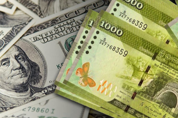 டொலருக்கு எதிரான இலங்கை ரூபாவின் பெறுமதி அதிகரிப்பு | Sri Lankan Rupee Appreciates