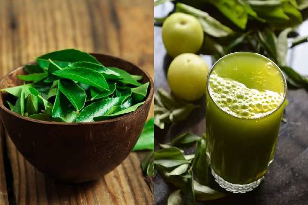நெல்லிக்காயுடன் கறிவேப்பிலையை ஒன்னா சாப்பிடுங்க... உடலில் இந்த மாற்றங்கள் உறுதி! | Benefits Of Eating Amla And Curry Leaves Together