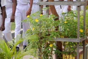 ප්‍රධාන පාසලක ක්‍රීඩා උපදේශකට සහ සිසුන්ට මැර ප්‍රහාරයක්. - ඇසින් දුටුවන් පැවසූ දේ මෙන්න.