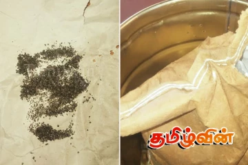 முல்லைத்தீவு கடற்கரையில் இருந்து வெடிபொருட்கள் மீட்பு