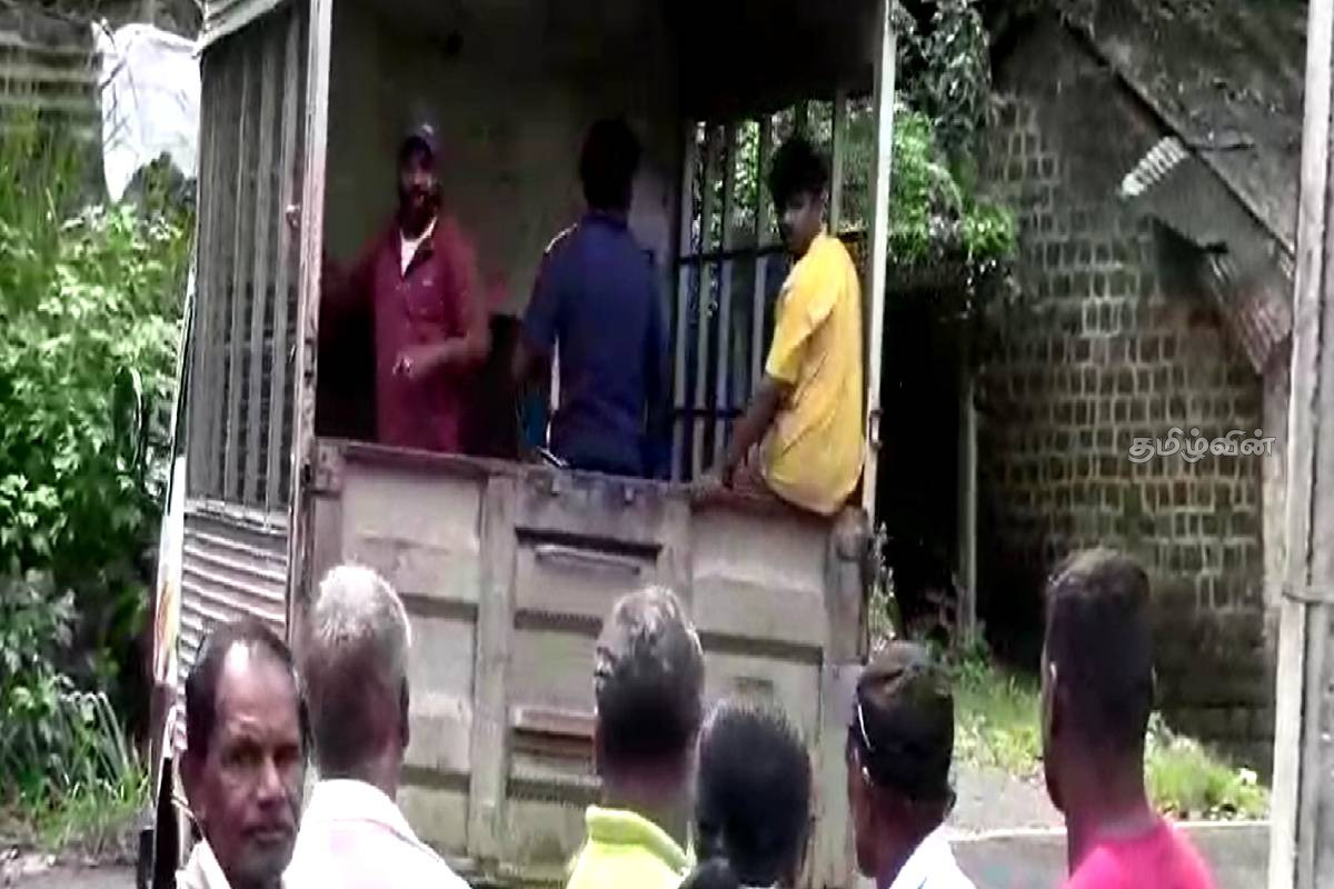 குளவி கொட்டுக்கு இலக்காகி ஒருவர் உயிரிழப்பு - 7 பேர் வைத்தியசாலையில் அனுமதி | One Person Dies After Being Bitten By A Wasp