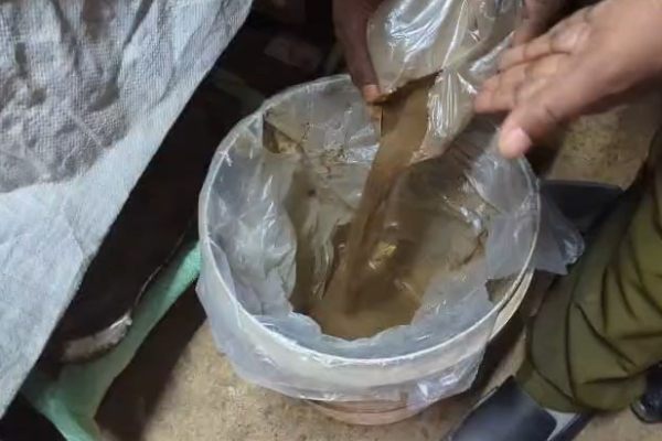 கேக்கில் ஈ ; பொது சுகாதார பரிசோதகர்களின் அதிரடி | Fly In Cake Public Health Inspectors Take Action