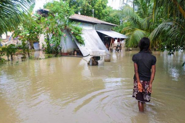 யாழில் பெய்த கனமழையால் ஏற்பட்டுள்ள பாதிப்பு! | The Damage Caused By The Heavy Rains In Jaffna