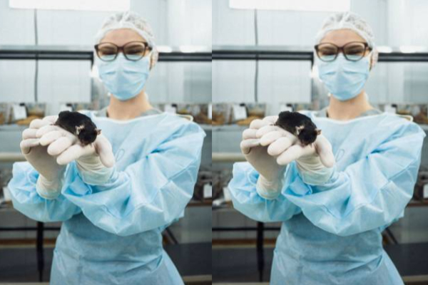 russia sends 75 mice to space in station
