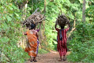 விறகுவெட்டுகையில் இளைஞன் உயிரிழப்பு ; அதிர்ச்சியான நண்பன் வைத்தியசாலையில்
