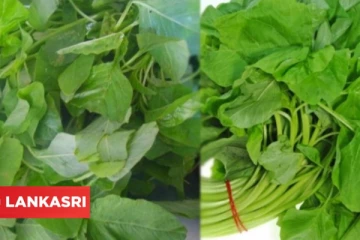 இந்த கீரையை வாரத்திற்கு 2 முறை சாப்பிட்டு வந்தால் ரத்த அழுத்தம் குறையுமாம்!