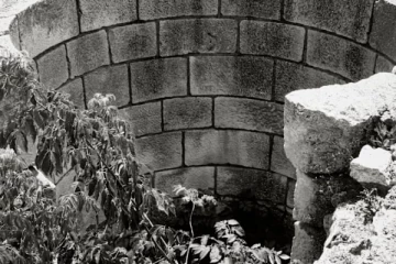 பாம்புகள் நிறைந்த கிணற்றில் தவறி விழுந்த பெண் ; திகிலை ஏற்படுத்திய 54 மணிநேரம் போராட்டம்