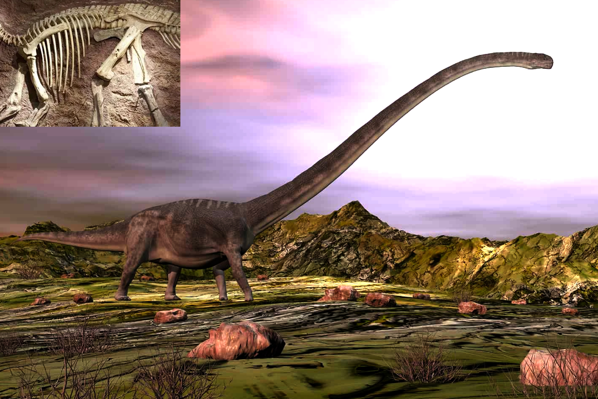 Rare-Long-Necked-Dinosaur-Fossils-Found-Thailand Rare-Long-Necked-Dinosaur-Fossils-Found-Thailand