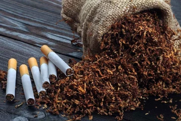 දුම්කොළ භාවිතය ගැන ඇහෙන භයානක හෙළිදරව්ව
