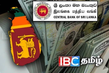 இலங்கைக்கு கிடைத்த வெளிநாட்டு முதலீடு : 28 மாதங்களில் புதிய சாதனை