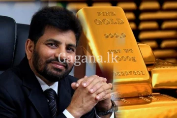 මන්ත්‍රී අලි සබ්‍රි ආචාර ධර්ම කමිටුව හමුවට